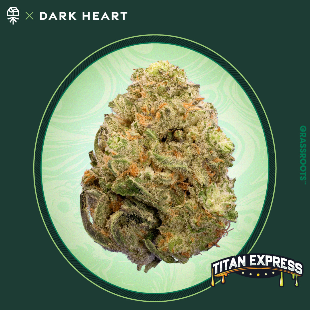 Belushi's Farms Blue Dream 3.5g